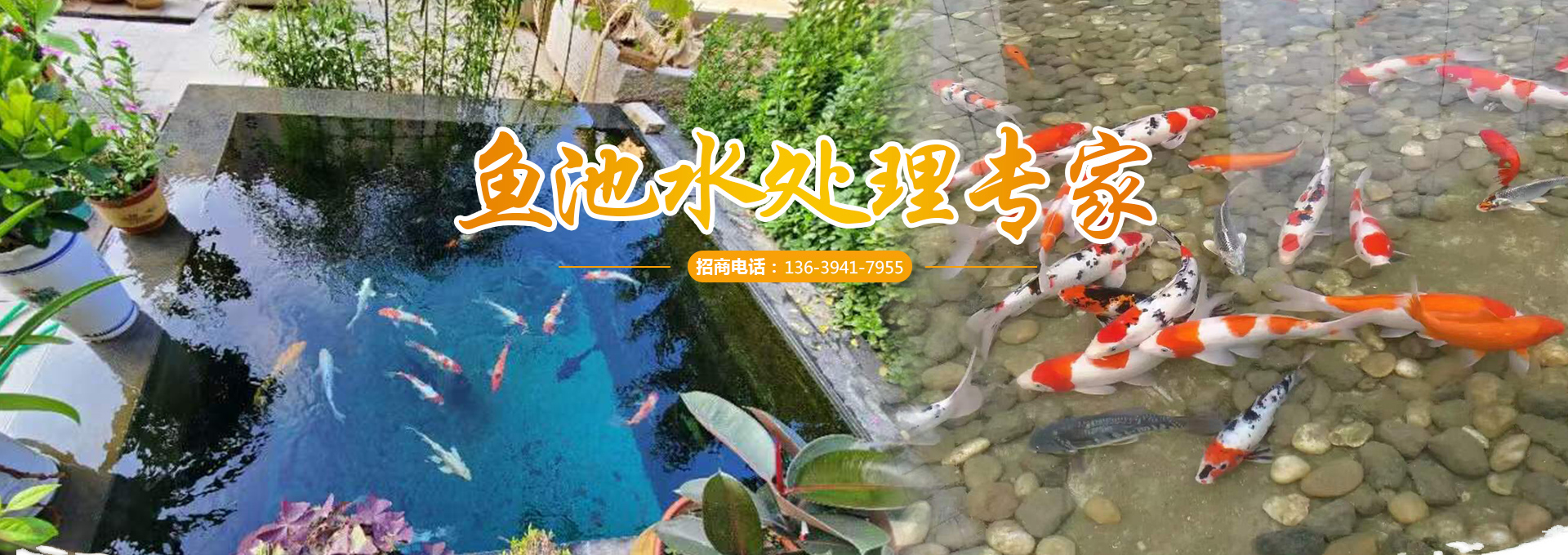 <strong>濟寧藝水芳源生態(tài)水族設備有限公司</strong>